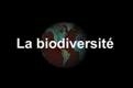 biodiversite